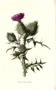 n175_w1150