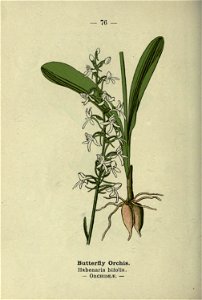 n159_w1150