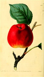 n119_w1150