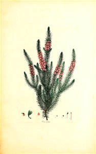 n298_w1150