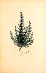 n178_w1150