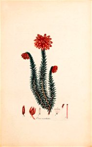 n58_w1150