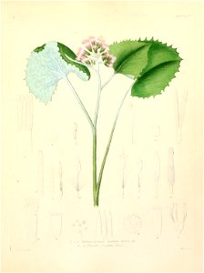 n102_w1150