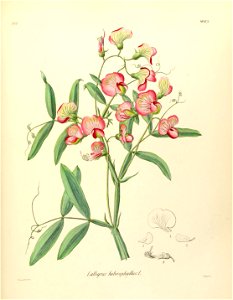 n674_w1150