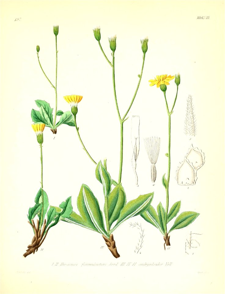 n536_w1150