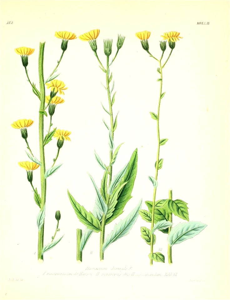 n506_w1150