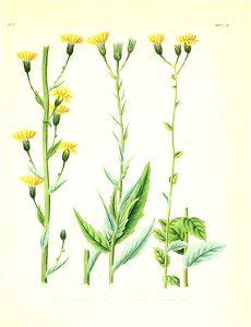 n506_w1150