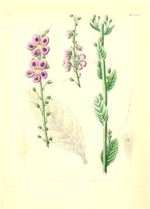 n574_w1150