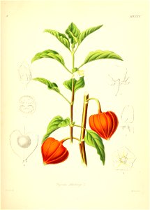n152_w1150