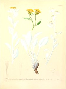 n156_w1150