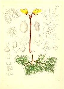 n536_w1150