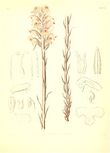 n506_w1150