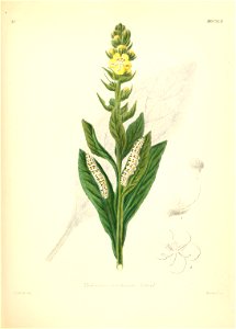 n176_w1150
