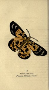 n197_w1150