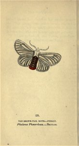 n139_w1150