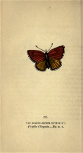 n83_w1150