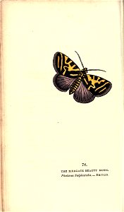 n153_w1150