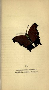 n80_w1150