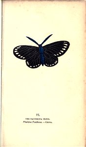 n150_w1150