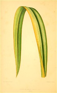 n111_w1150