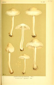 n592_w1150