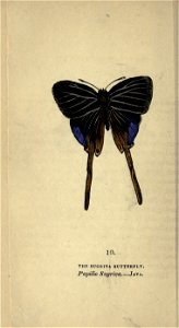 n77_w1150