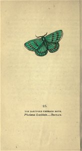 n127_w1150