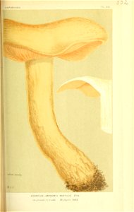 n178_w1150