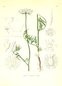 n436_w1150