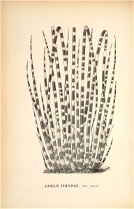 n144_w1150