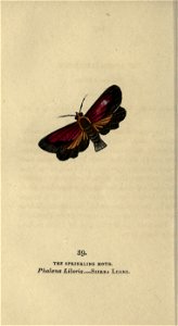 n185_w1150