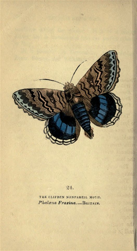 n123_w1150