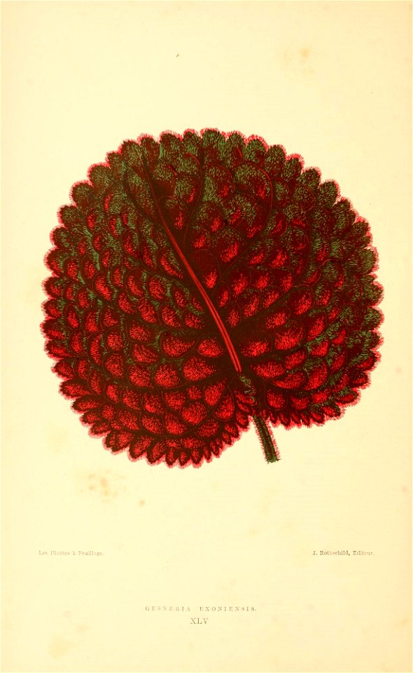 n279_w1150