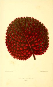 n279_w1150