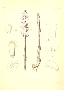 n552_w1150