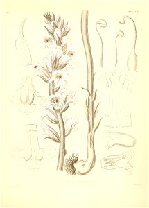 n456_w1150
