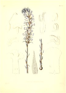 n504_w1150
