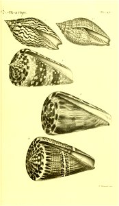 n122_w1150