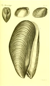 n92_w1150