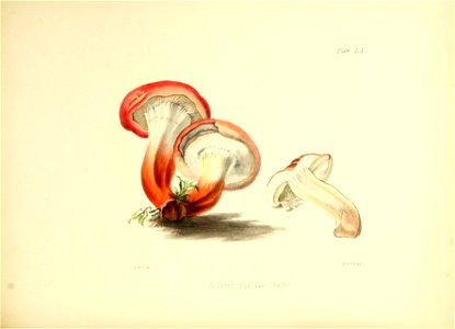 n265_w1150