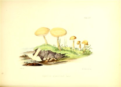 n205_w1150