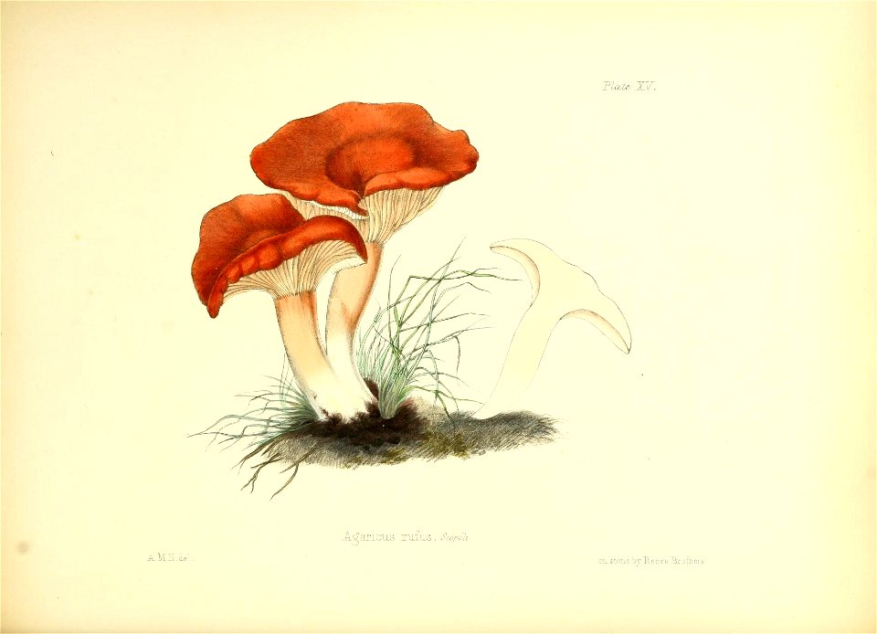 n81_w1150