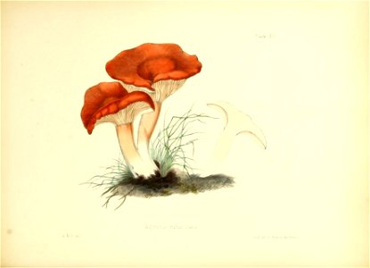 n81_w1150