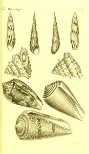 n120_w1150