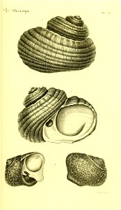 n88_w1150