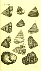 n58_w1150