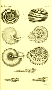 n118_w1150