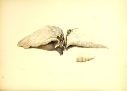 n197_w1150