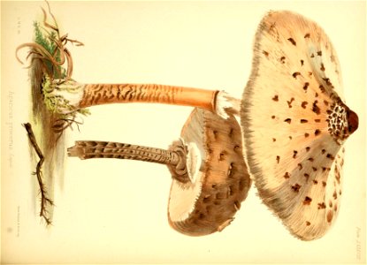 n379_w1150