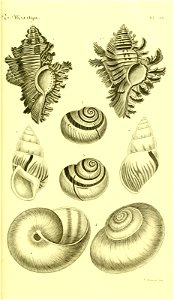 n116_w1150